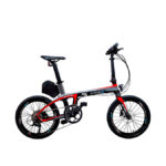 Bicicleta eléctrica Pasione